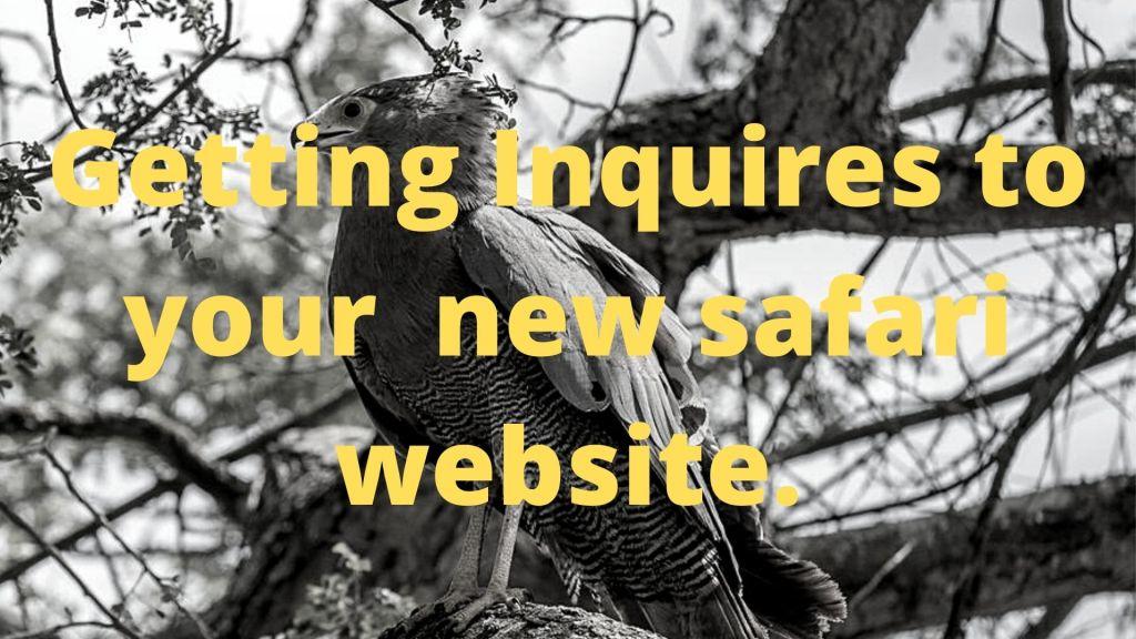 Getting Inquires To Your New Safari Website