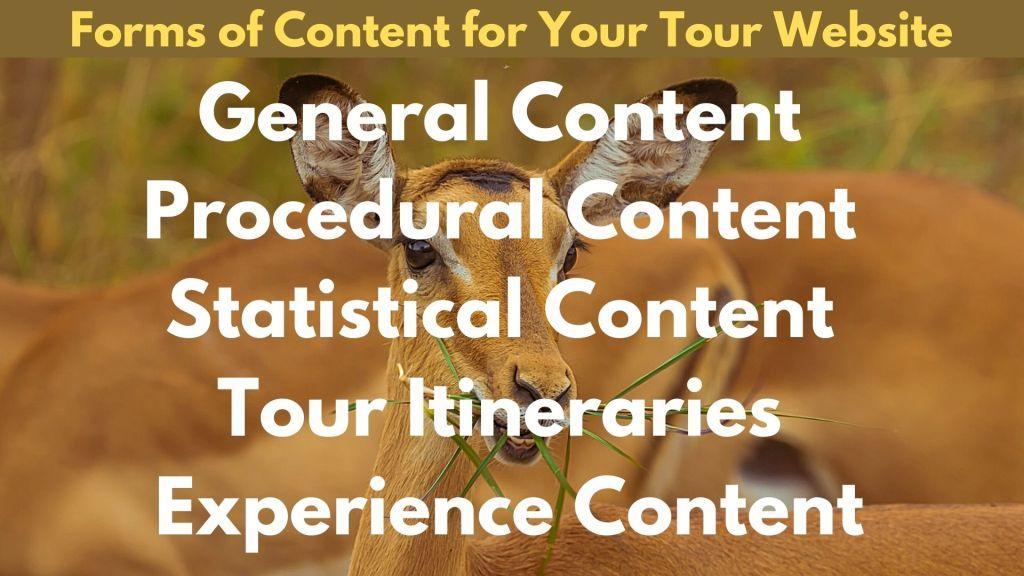 Content Writing For Tour Websites