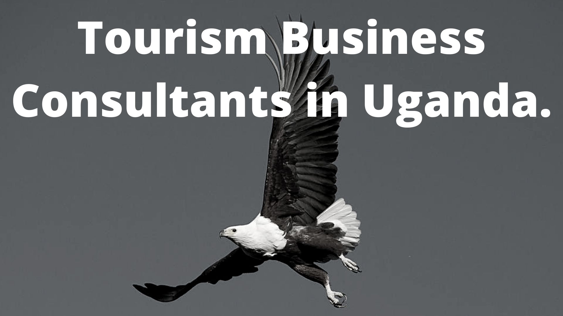 Tourism Business Consultants In Uganda