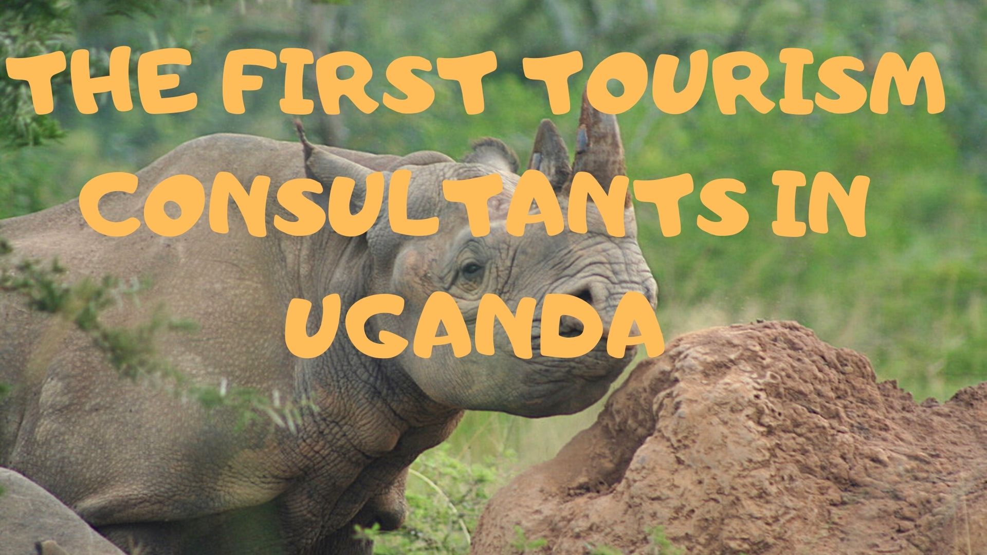 First Tourism Consultant In Uganda