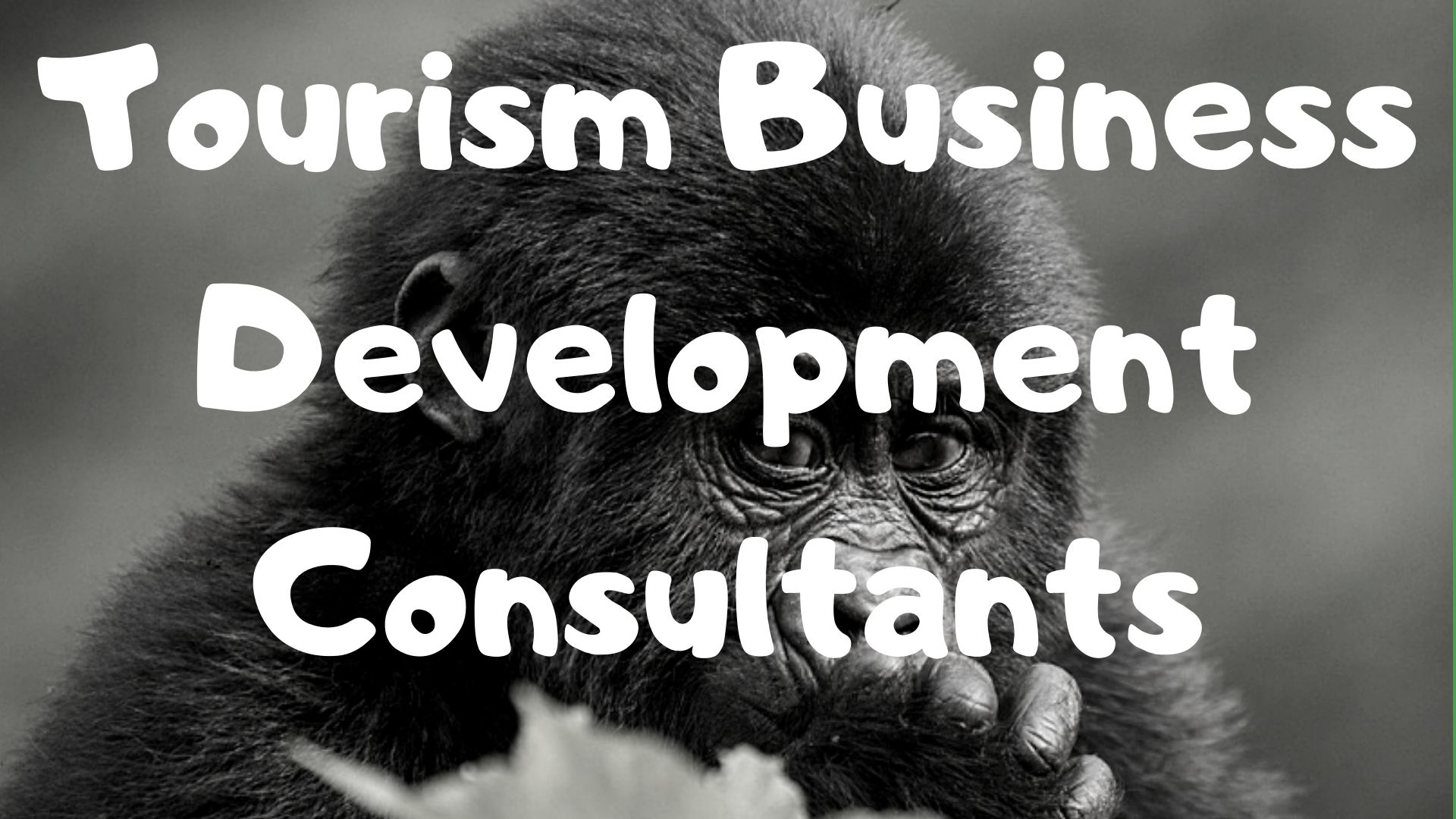 Tourism Business Development Consultant