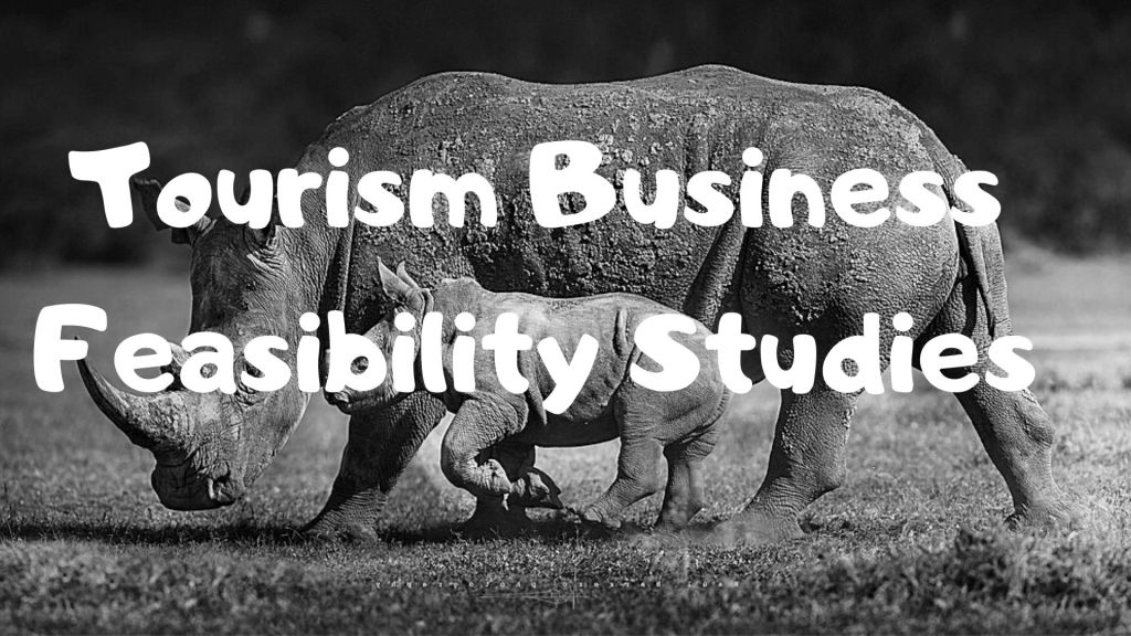 Tourism Feasibility Studies