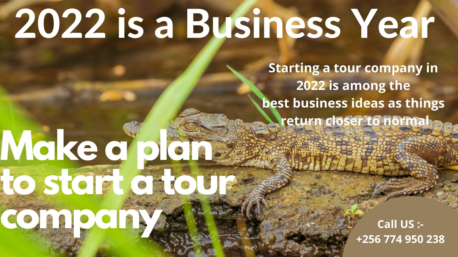 Starting A Tour Company