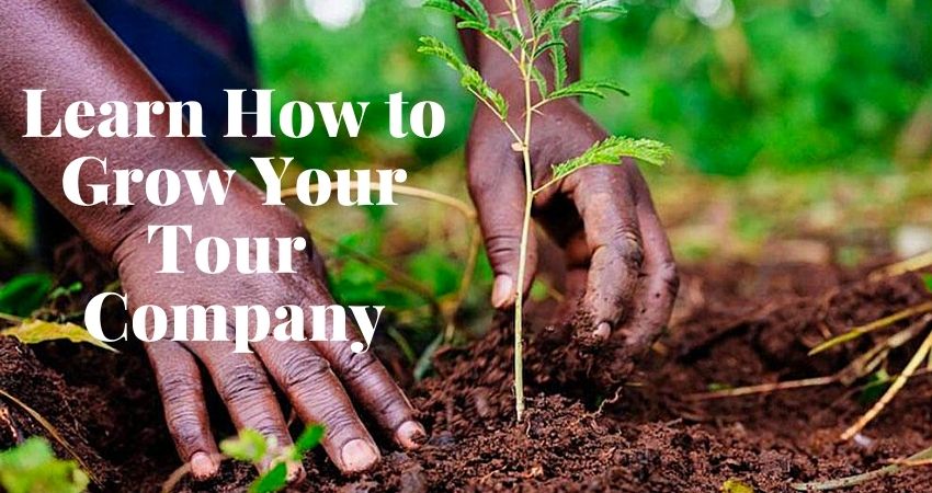 Learn How To Grow Your Safari Company